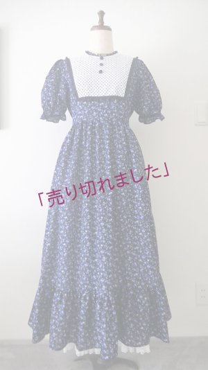 画像1: new arrival 411　プレーリー