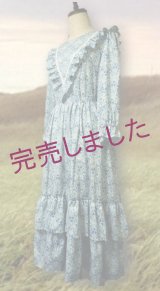 Ｖフリル　チャーミ―ドレス（各一点　青　/　紫）