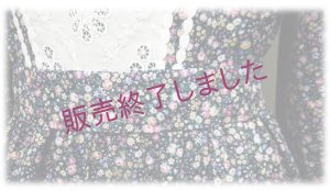 画像2: NEW：ANNEスタンドカラードレス/the good stars/