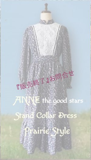 画像1: NEW：ANNEスタンドカラードレス/the good stars/