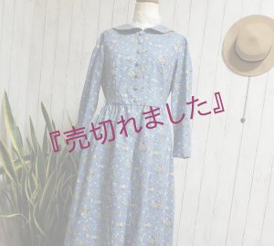 画像2: アンティークレトロ＆ノスタルジーブルードレス／USAコットン／