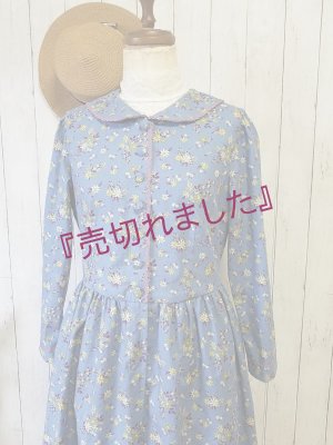 画像3: アンティークレトロ＆ノスタルジーブルードレス／USAコットン／