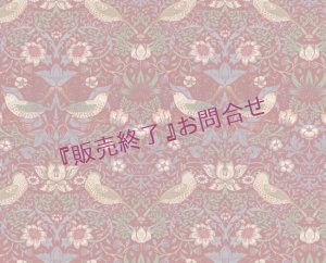 候補　ナンバーワンでしょ