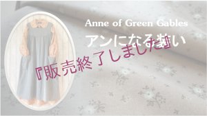 エプロンは付属していません※