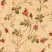 つる薔薇　オレンジベージュ